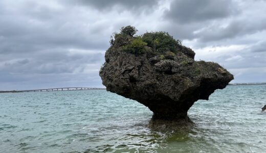 令和八年2月スケジュール