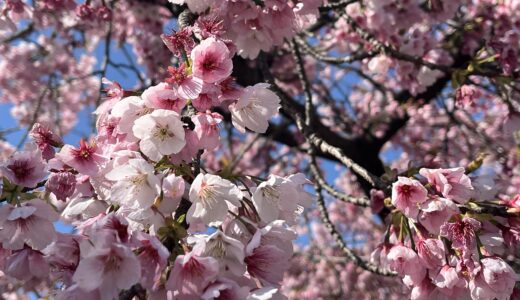 令和八年4月スケジュール